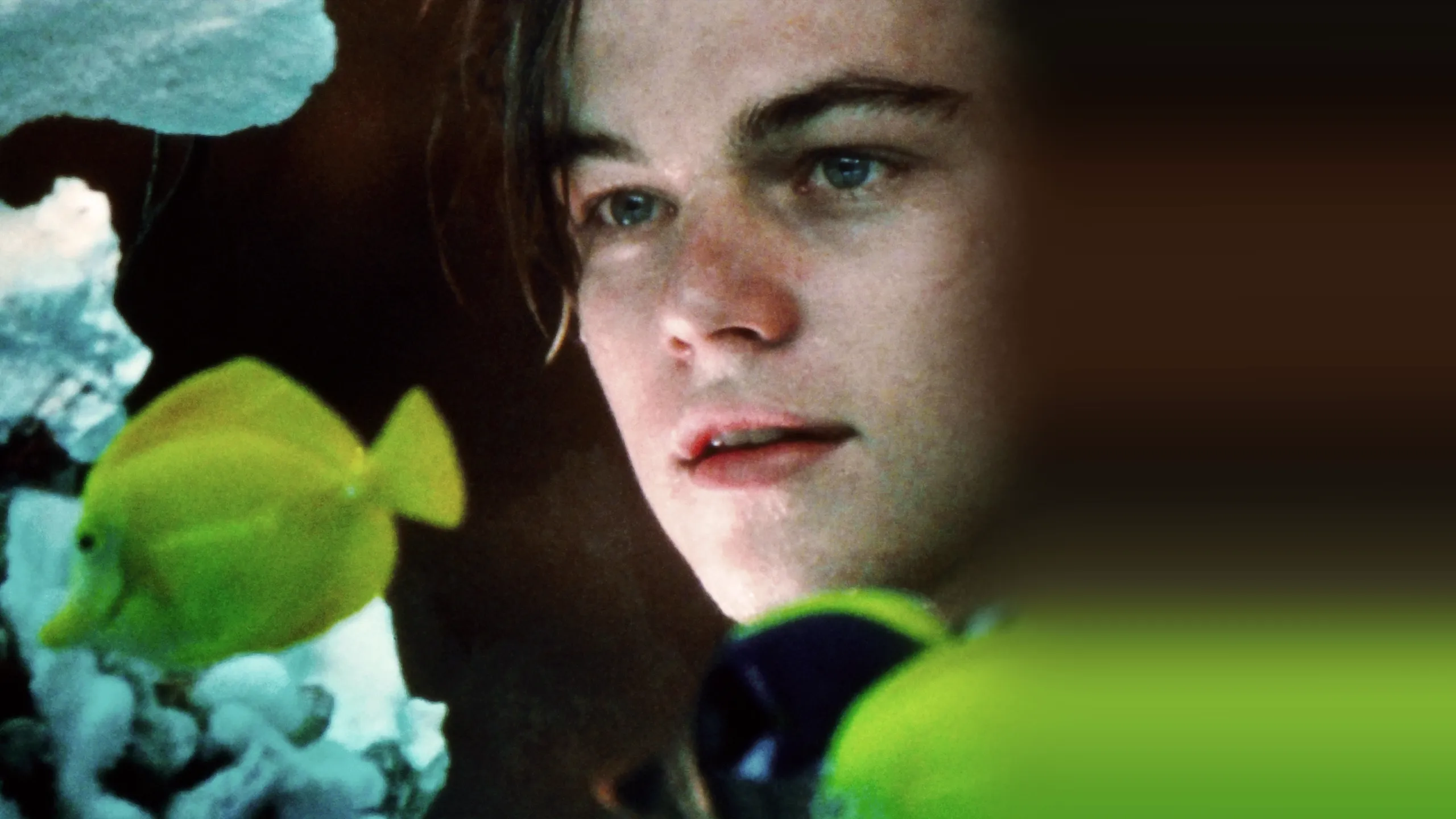 William Shakespeare's Romeo + Juliet