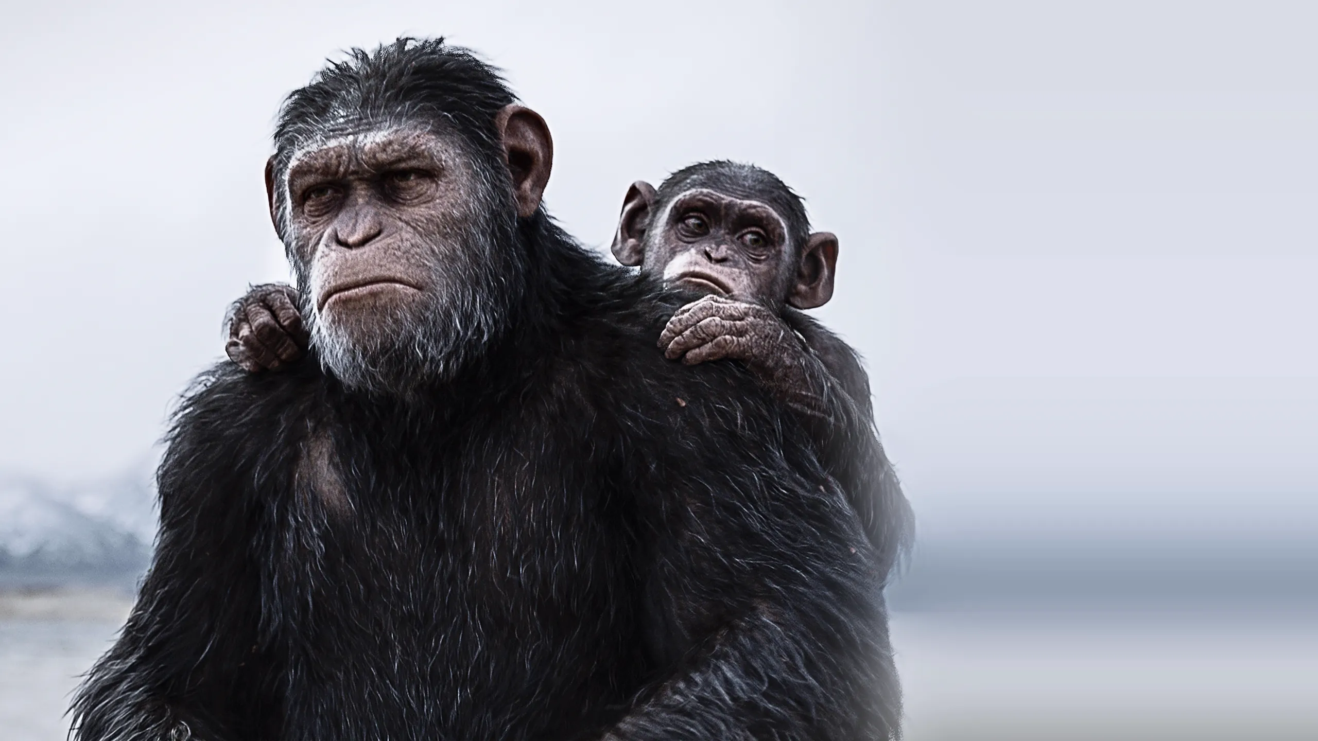 War for the Planet of the Apes