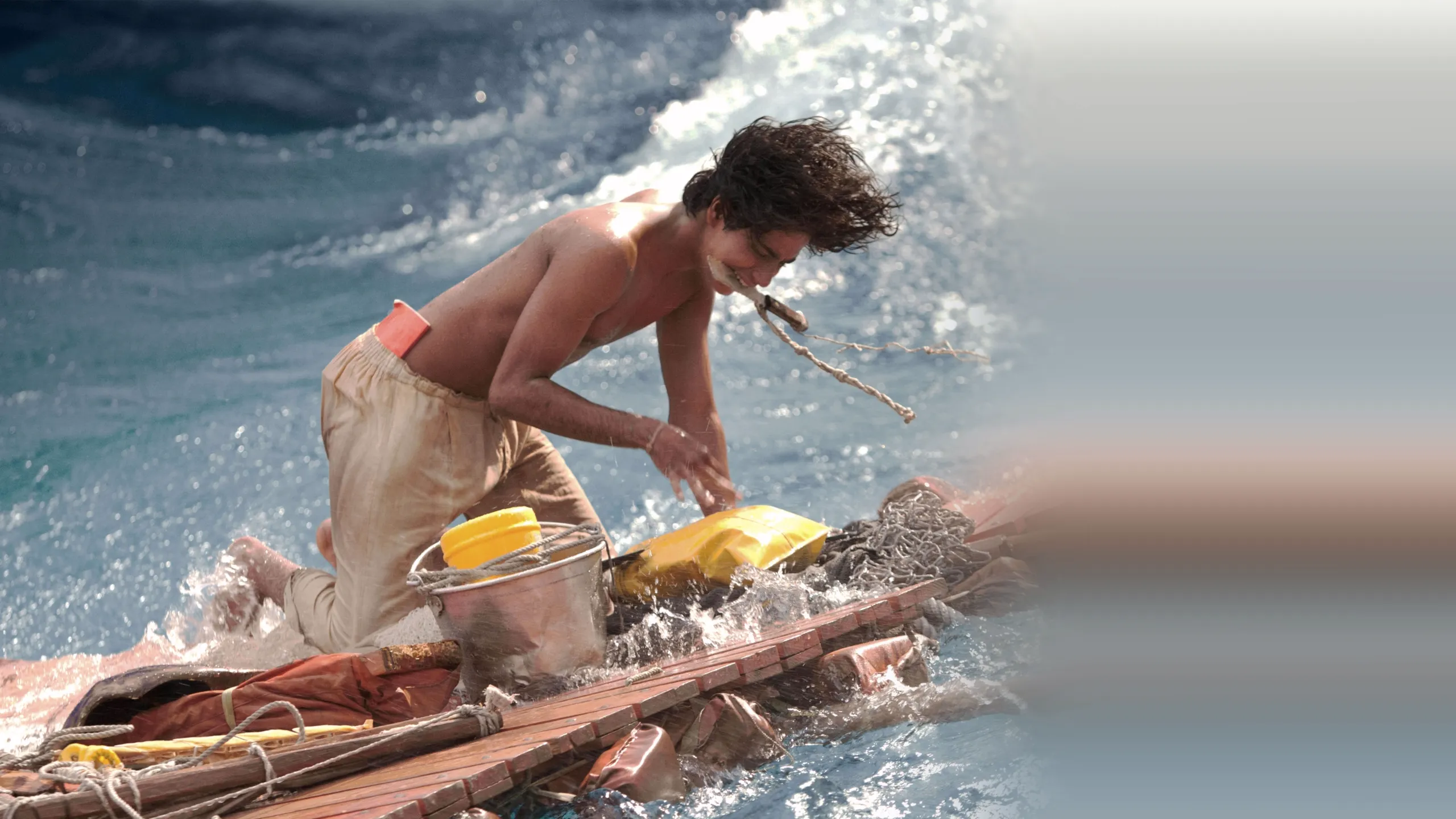 Life Of Pi
