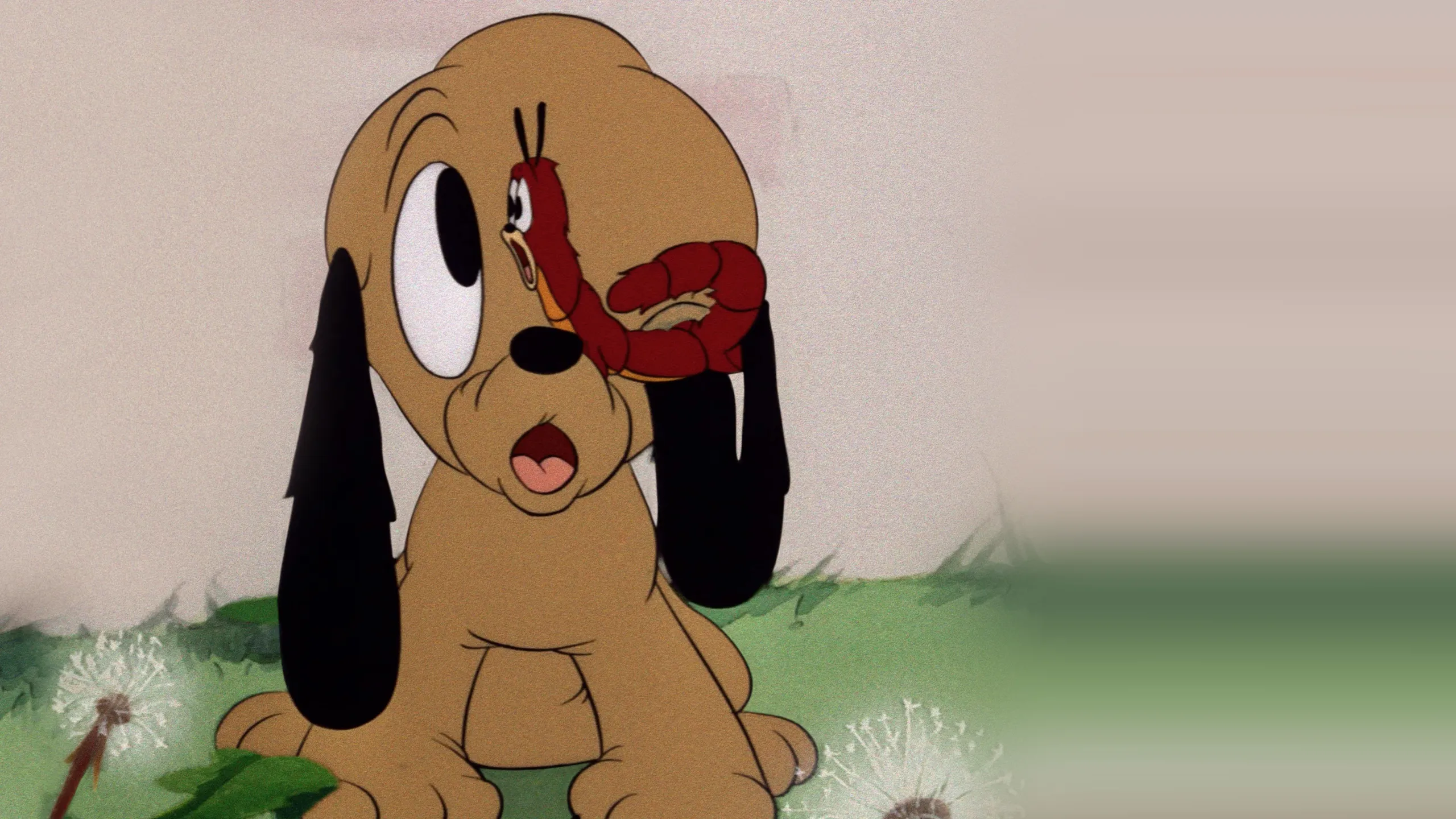 Pluto, Junior