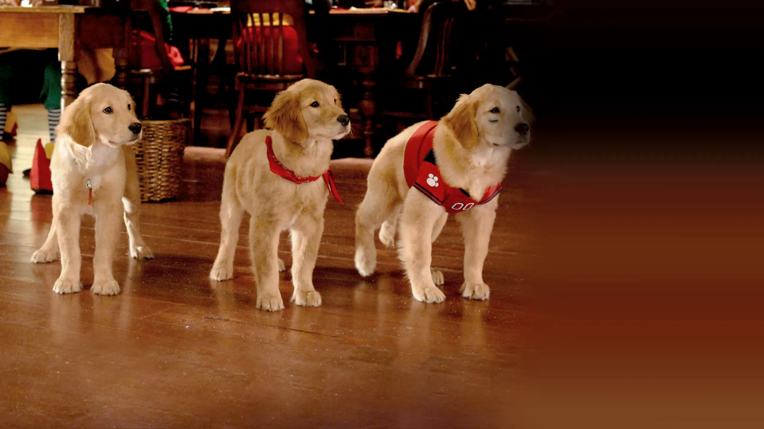 Santa Buddies: The Legend of Santa Paws