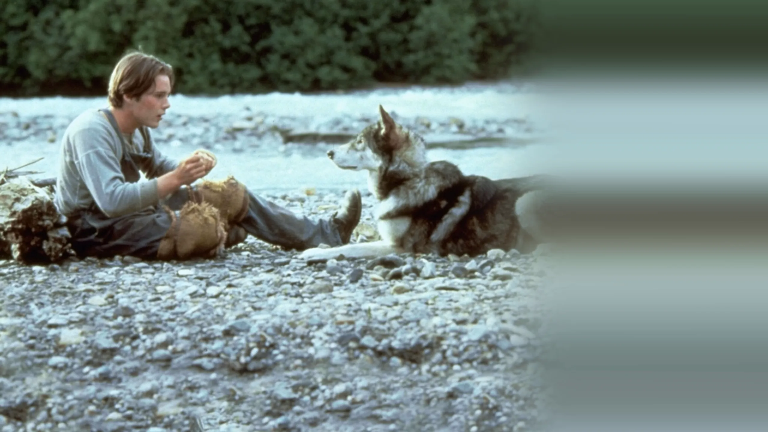 White Fang