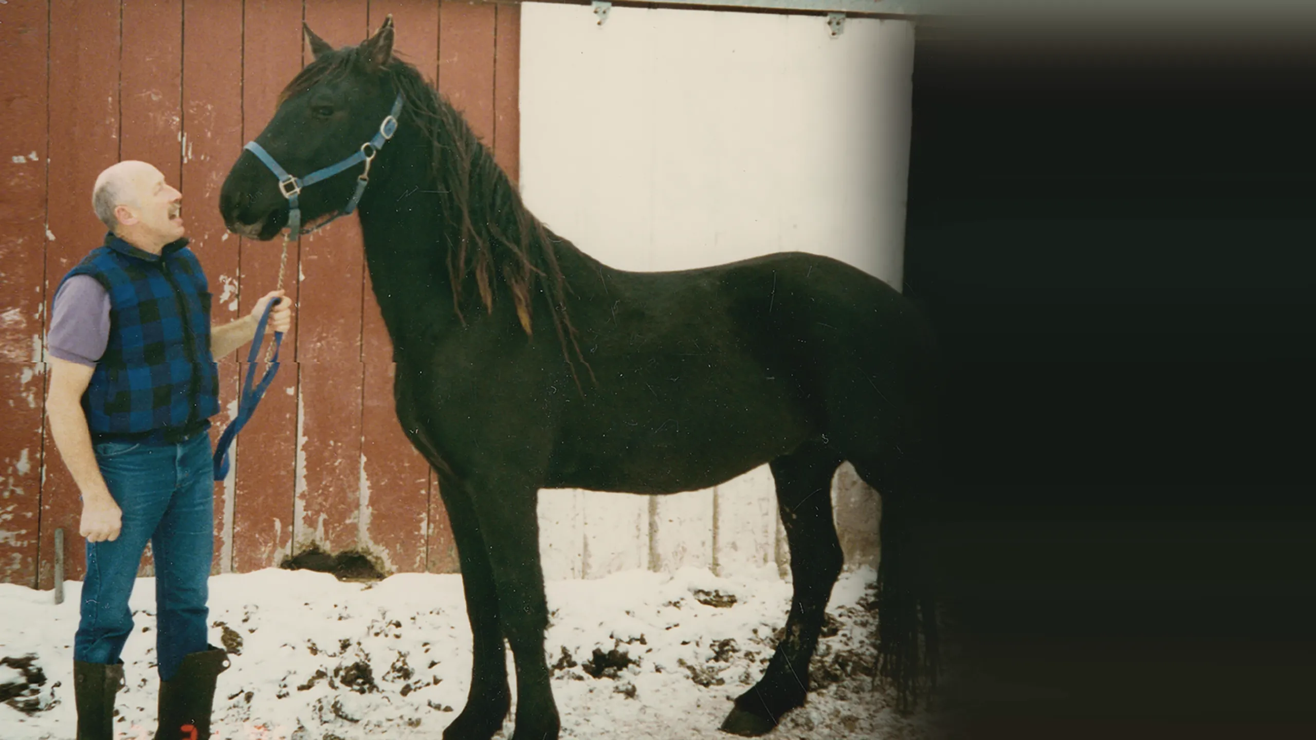 Incredible! The Story of Dr. Pol