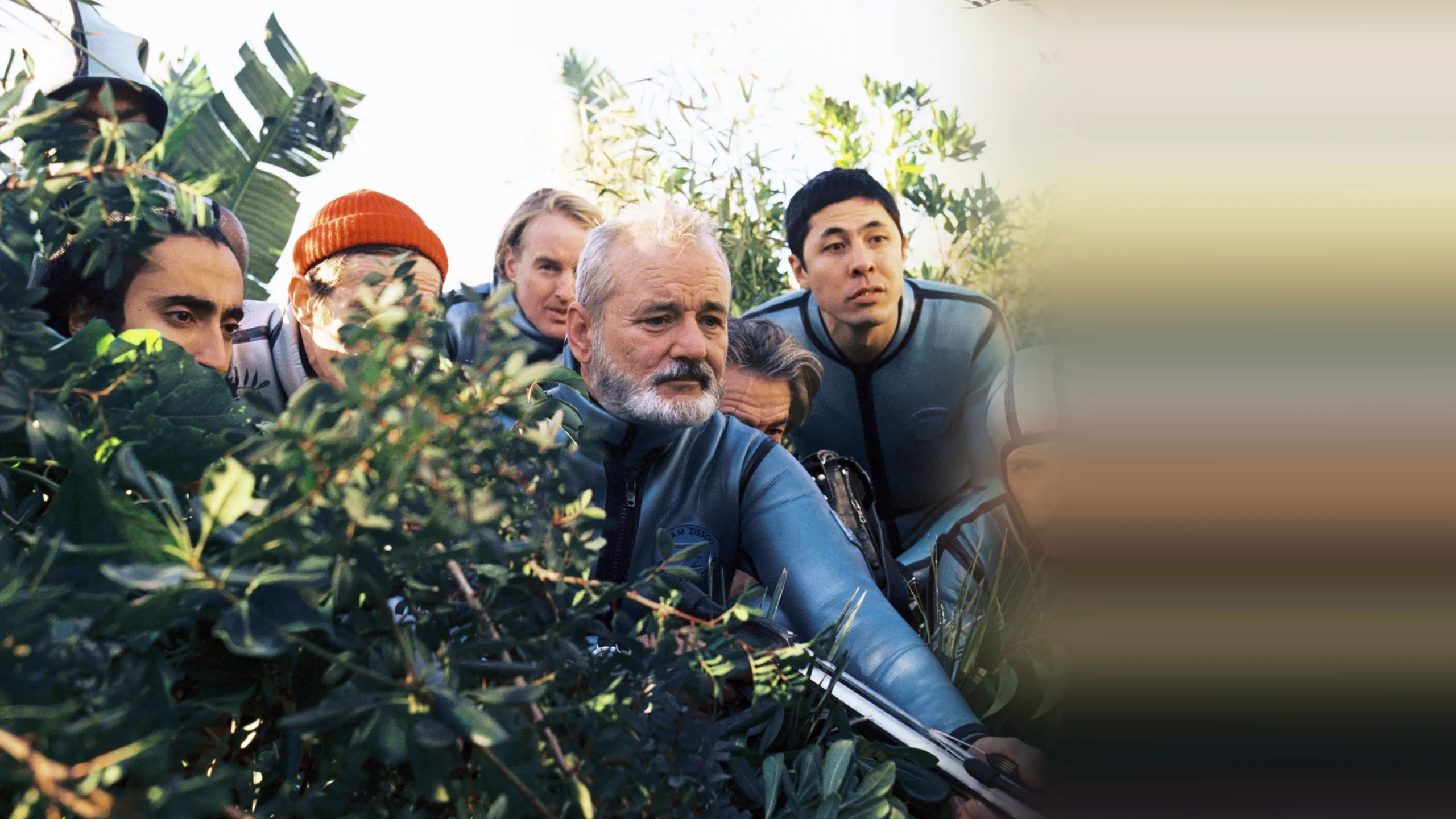 The Life Aquatic with Steve Zissou