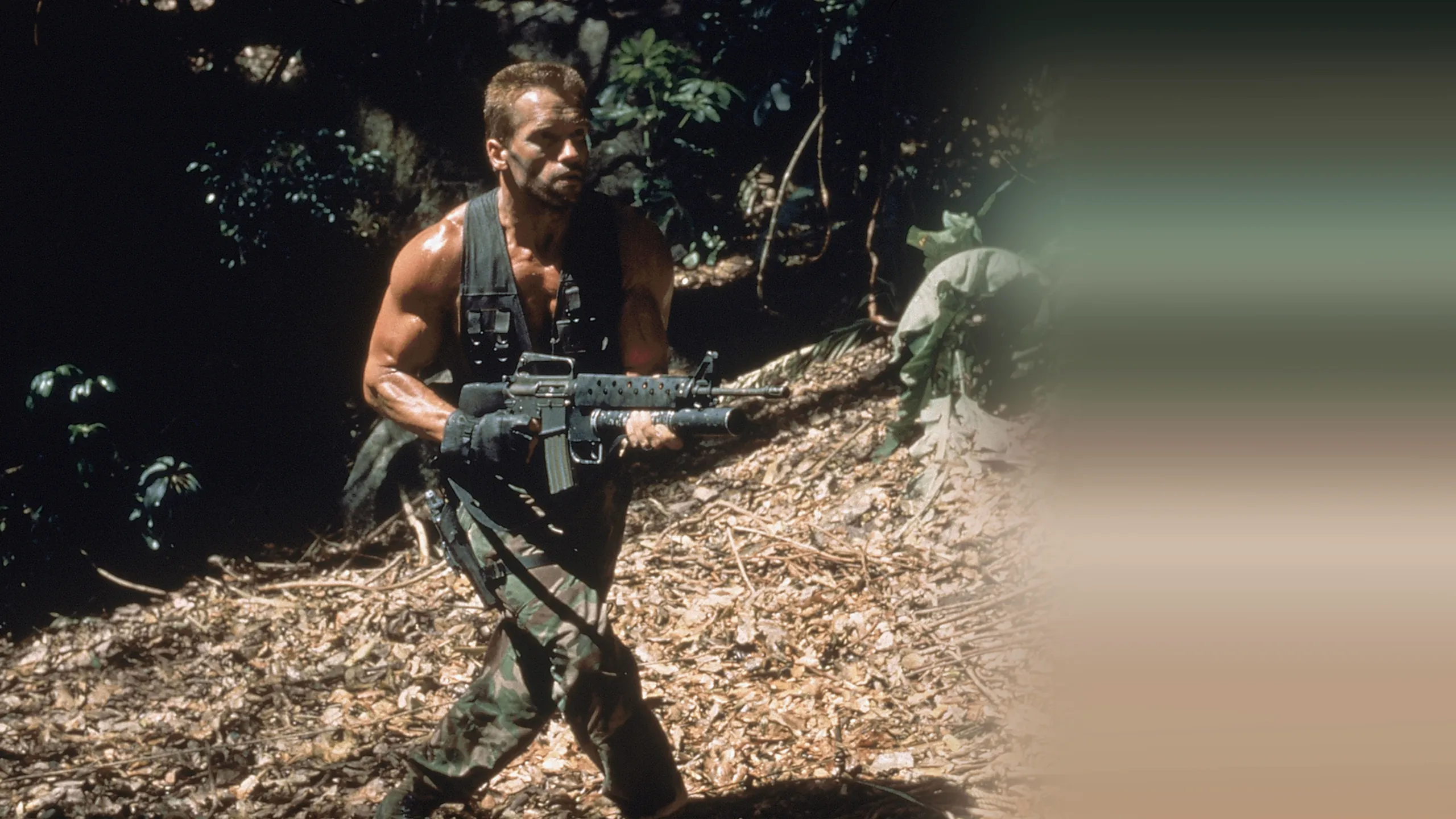 Predator