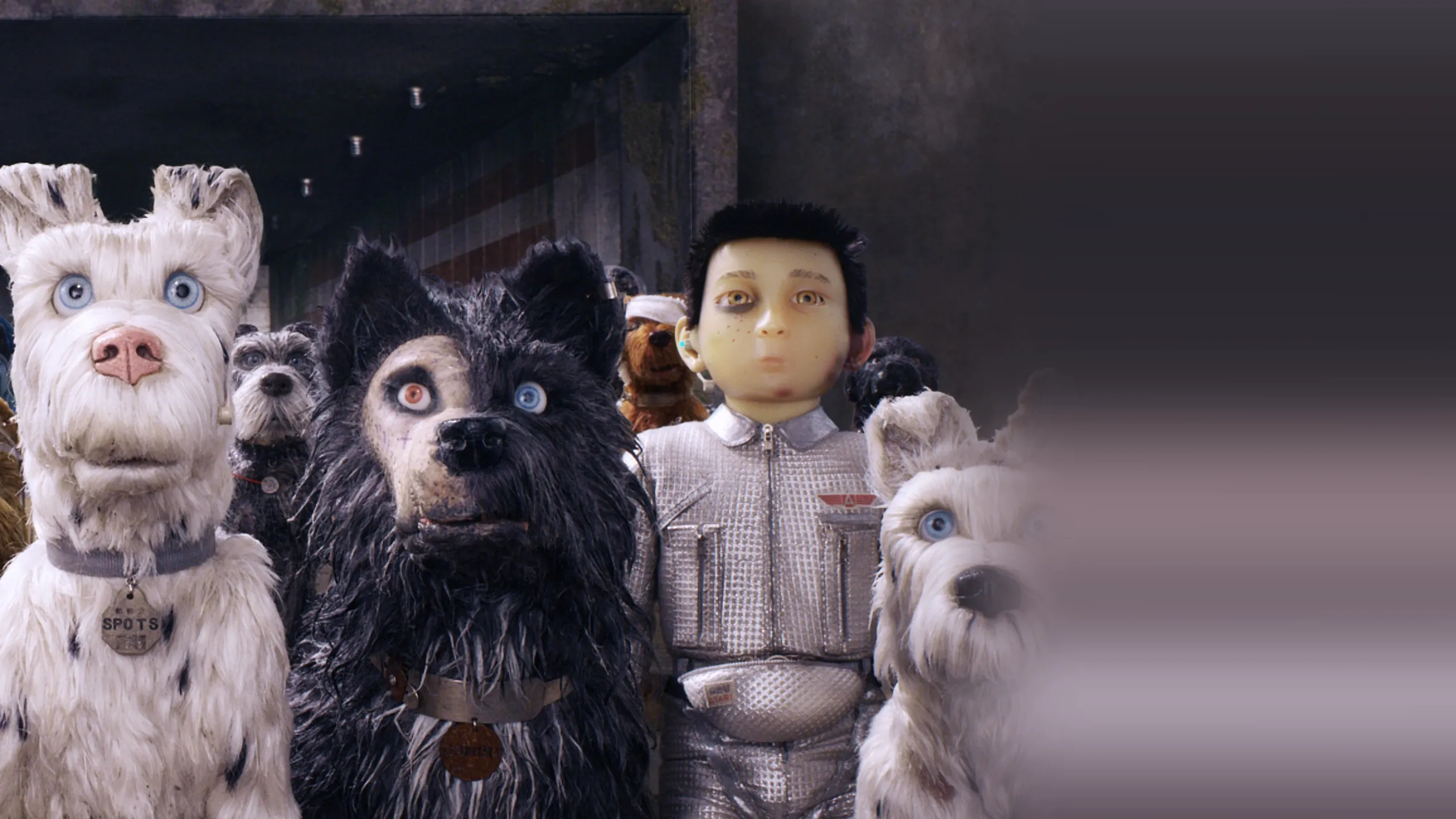 Isle of Dogs