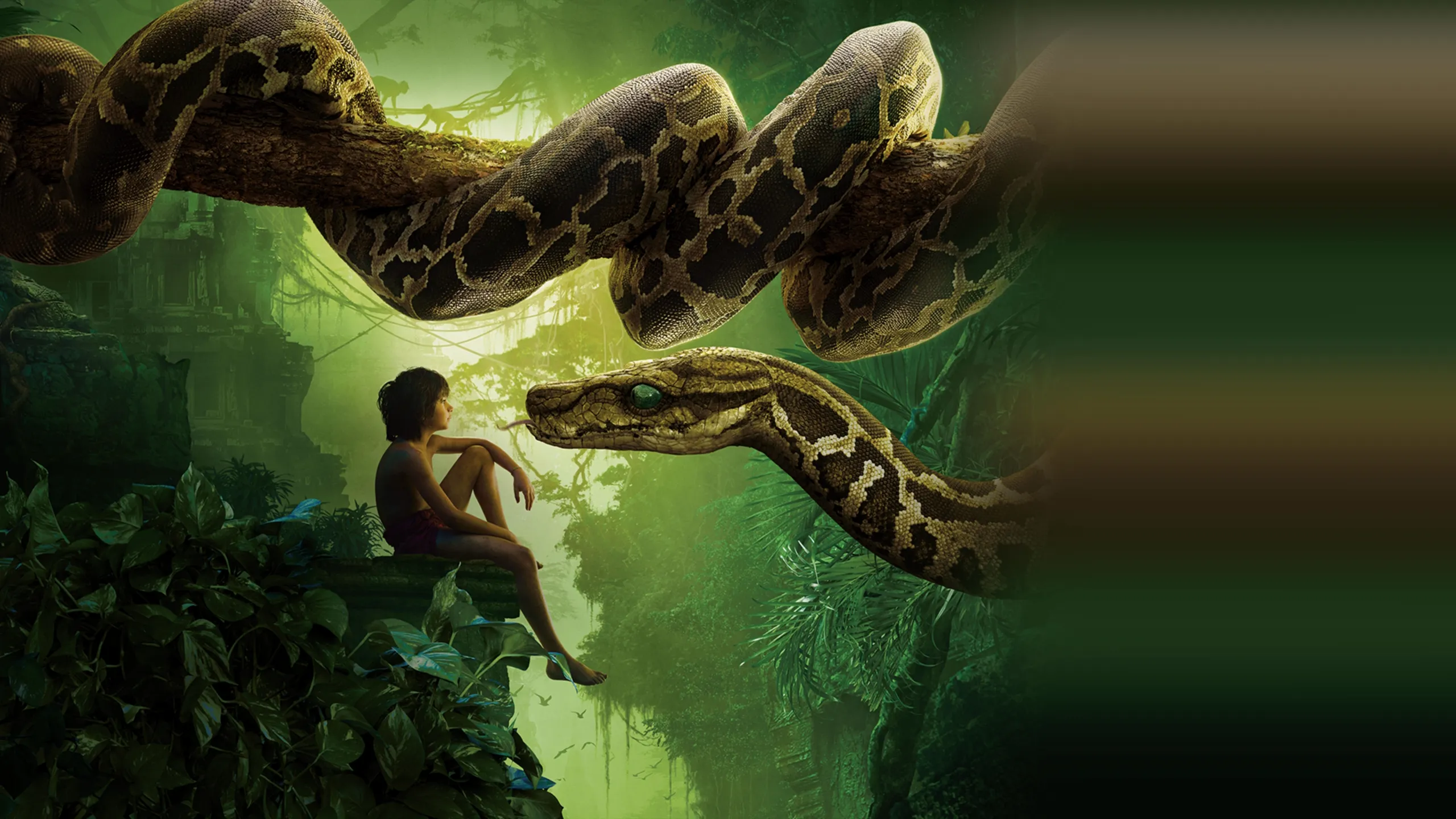 The Jungle Book