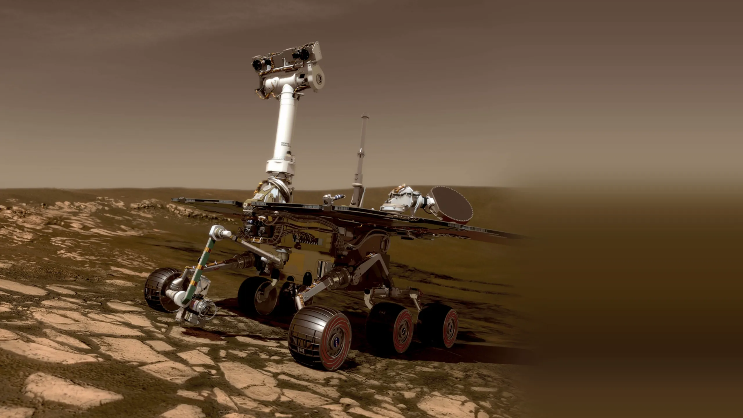 Roving Mars