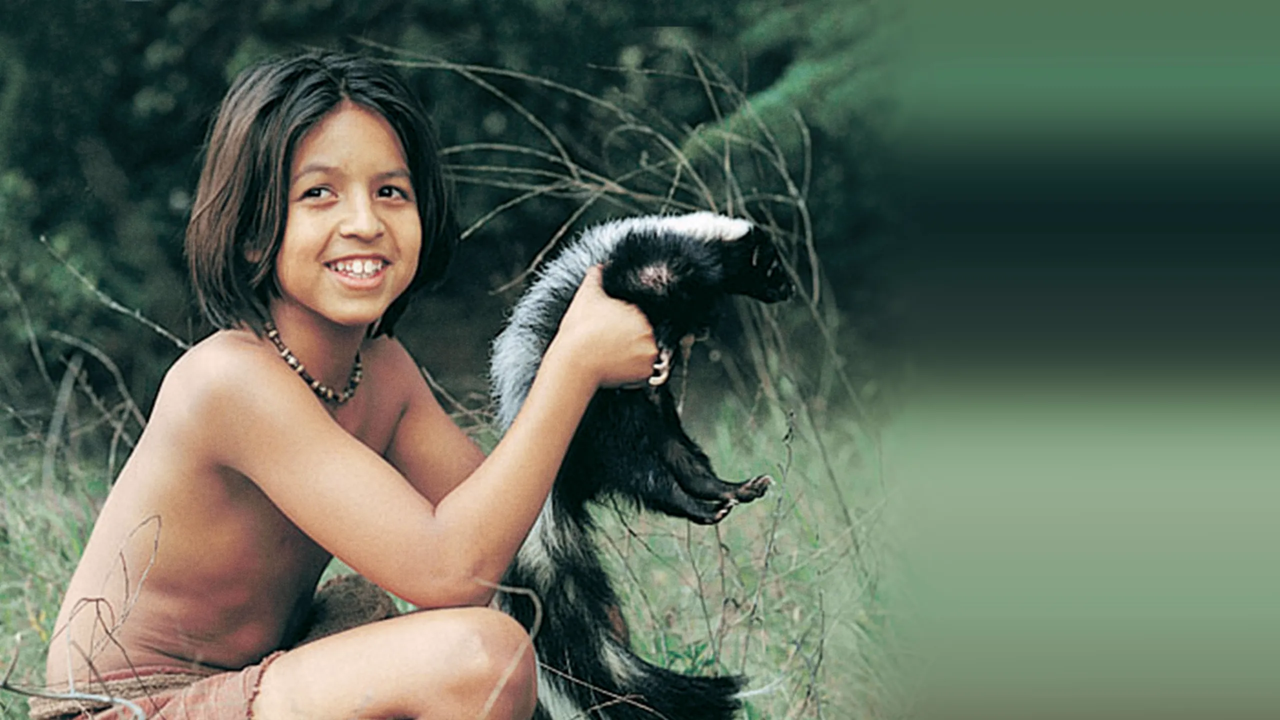 The Jungle Book: Mowgli's Story