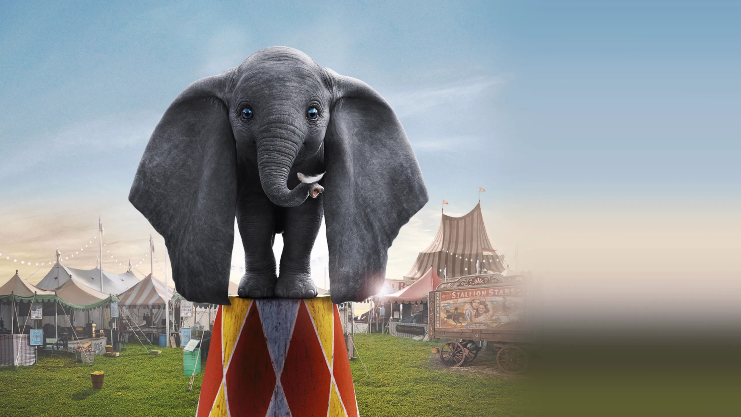 Dumbo