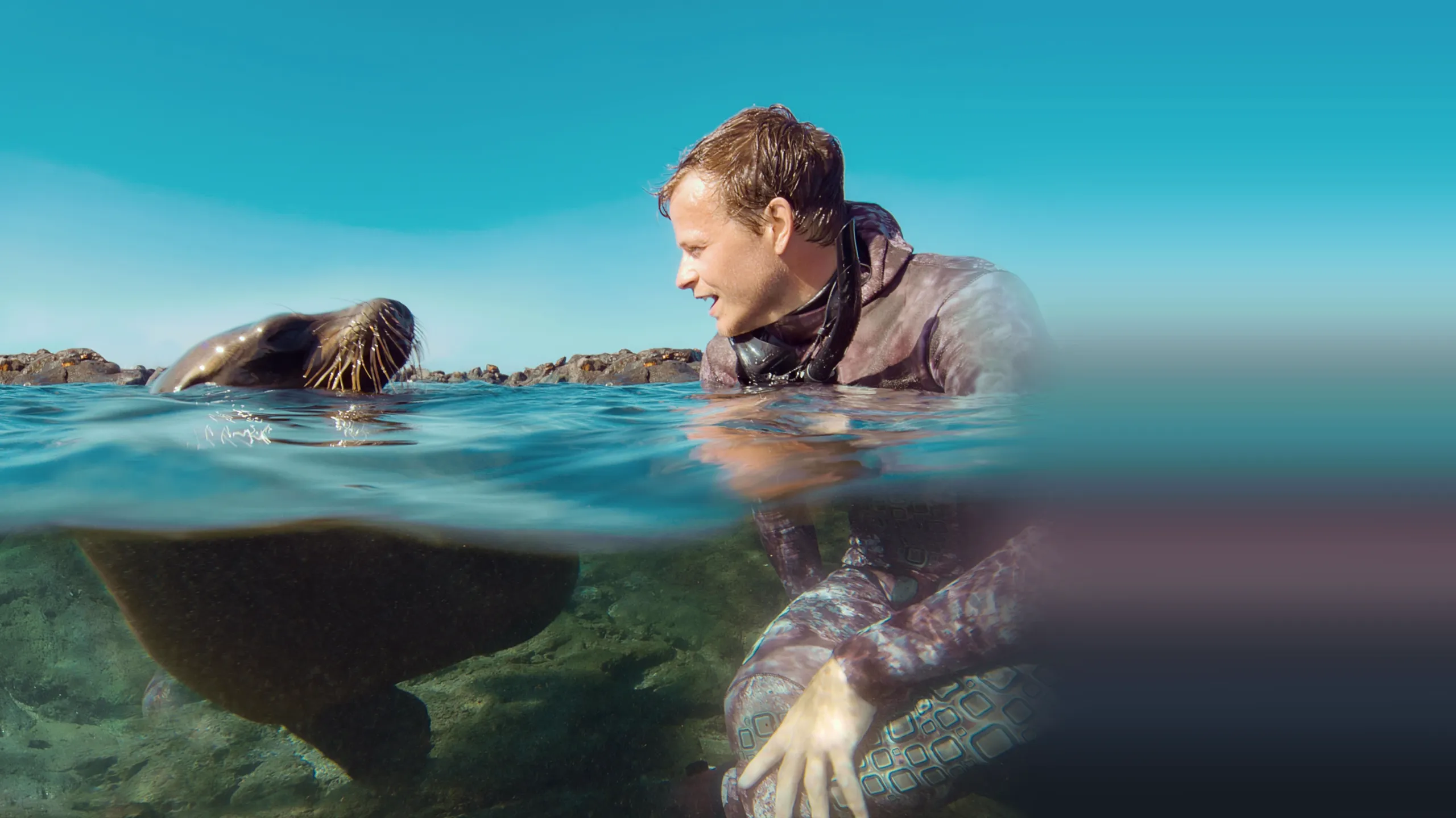 Animals Up Close with Bertie Gregory