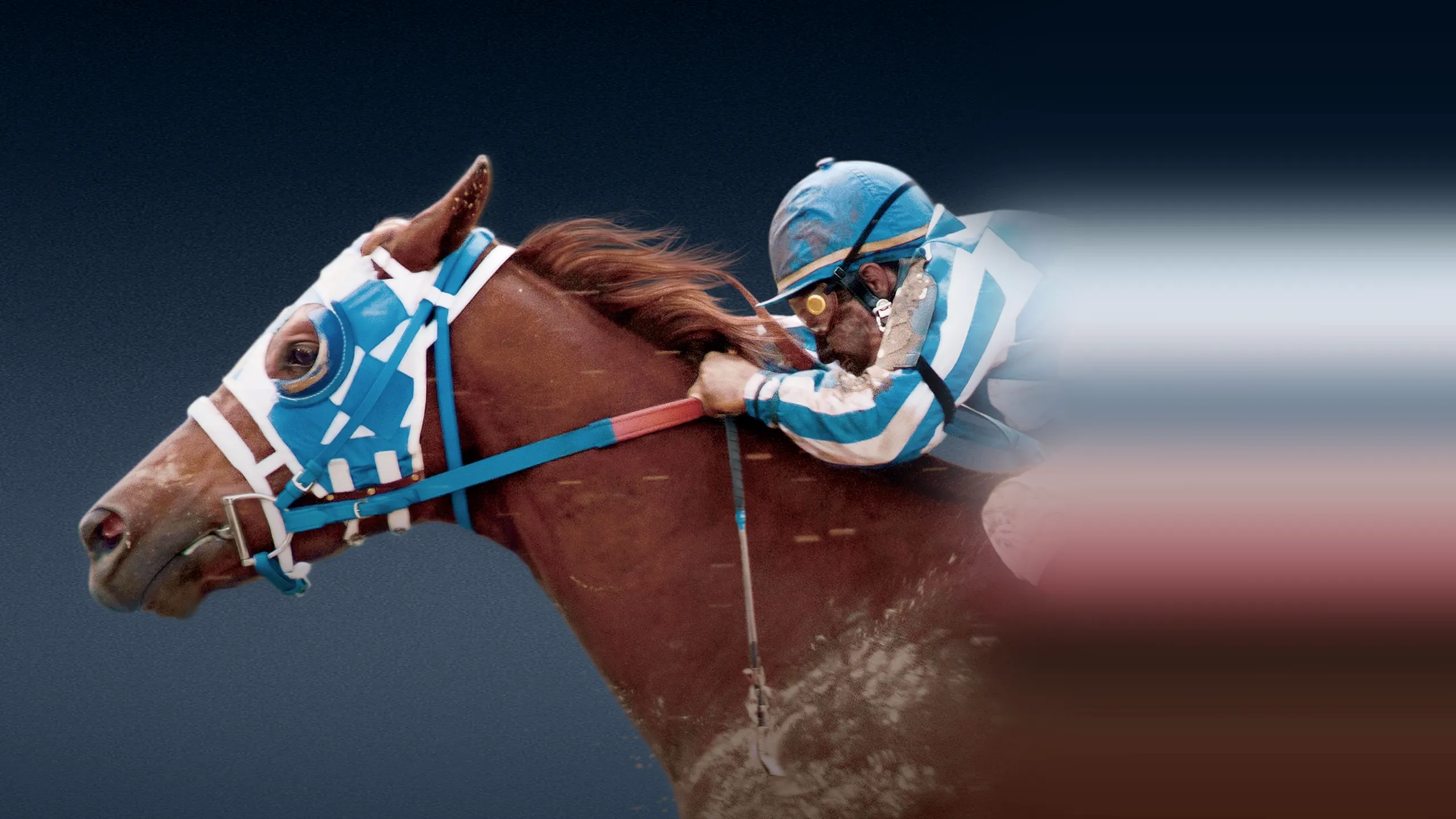 Secretariat