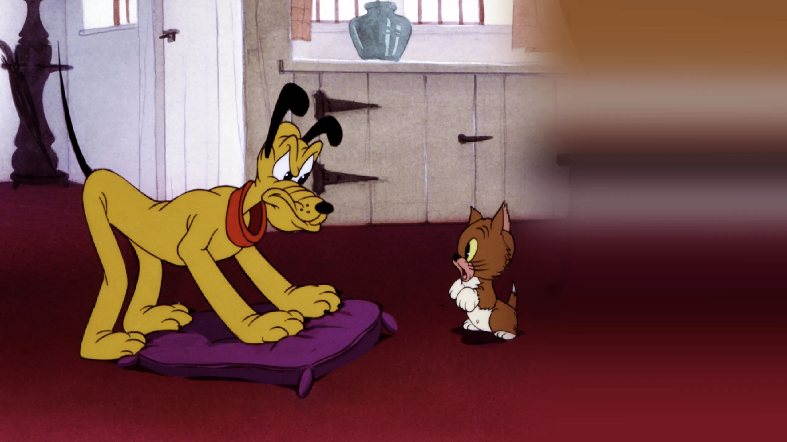 Lend a Paw
