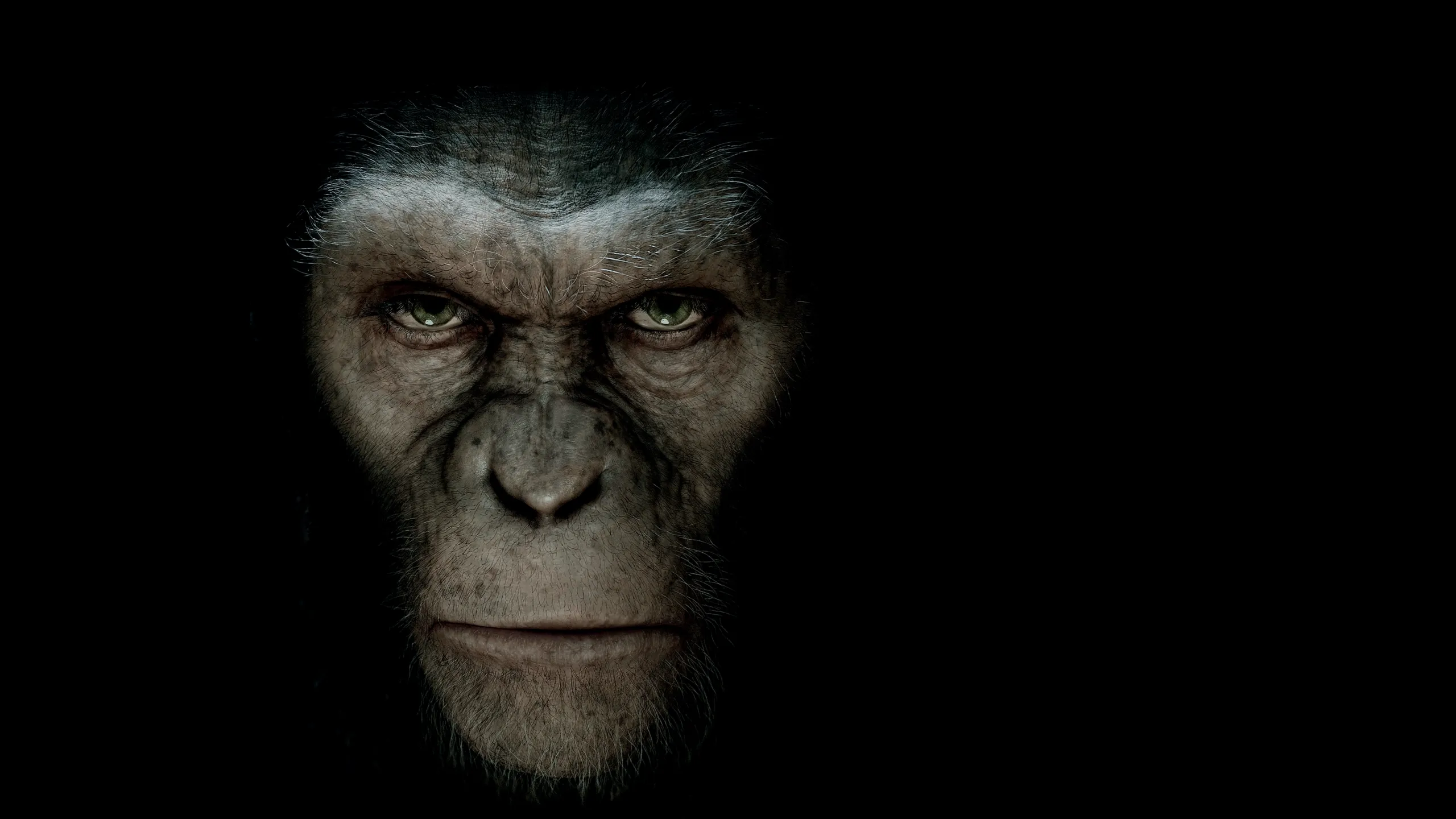 Rise Of The Planet Of The Apes