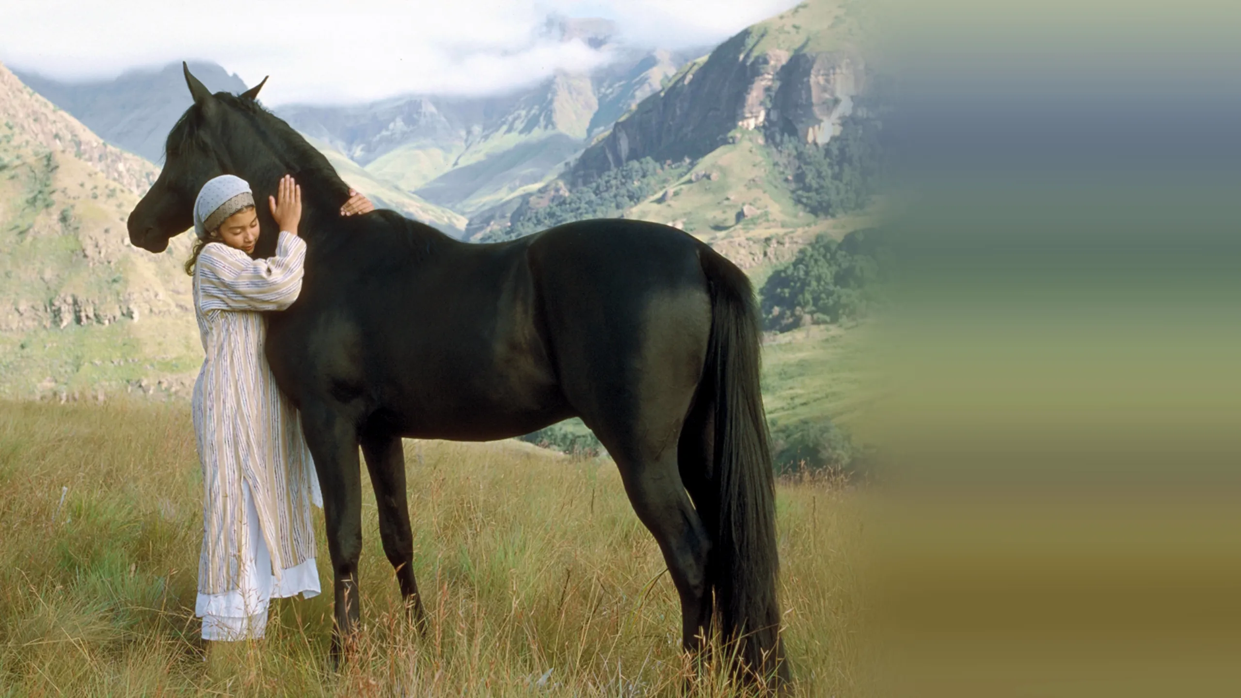 The Young Black Stallion