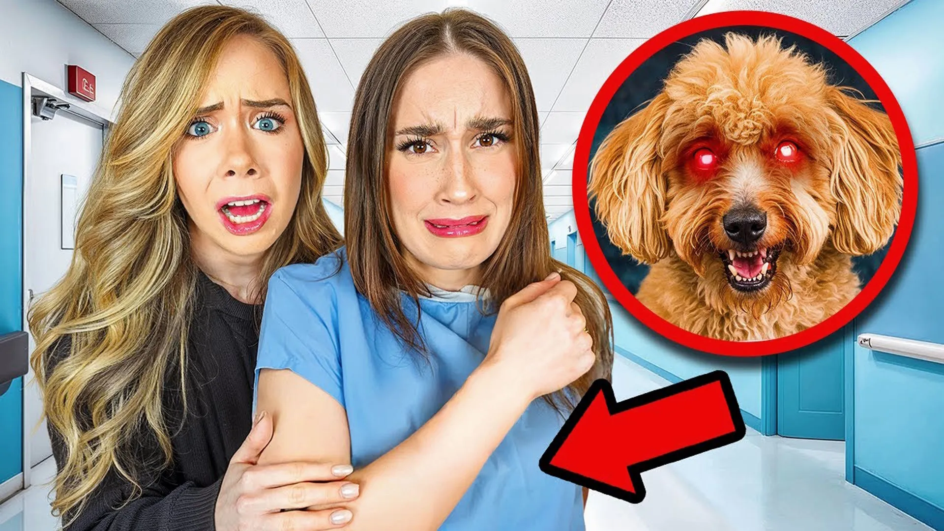 thumbnail - S1:E10 Puppy Bites and Ghostly Texts!