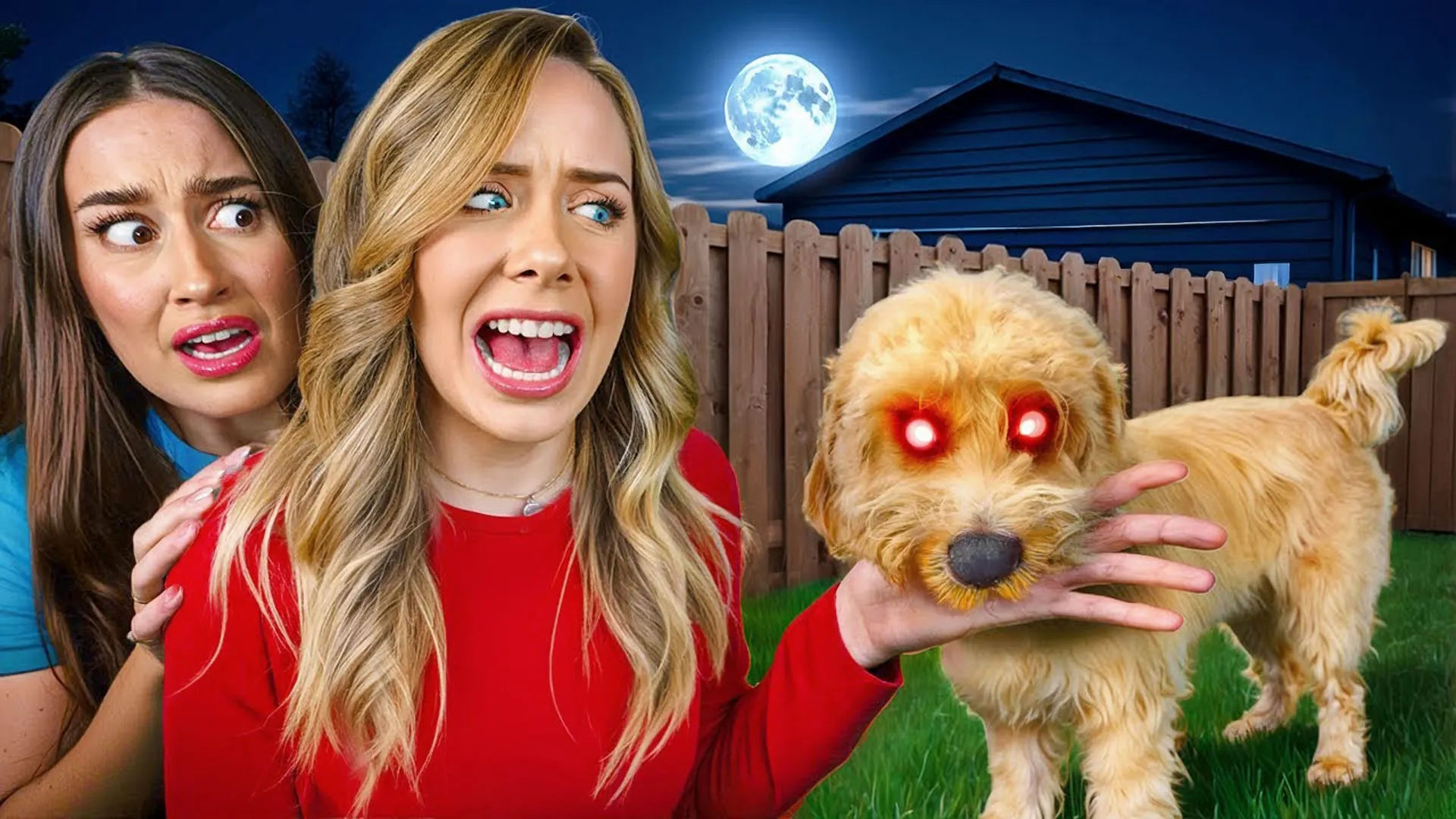 thumbnail - S1:E8 Spooky Puppy Playtime!
