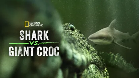 thumbnail - Shark vs. Giant Croc