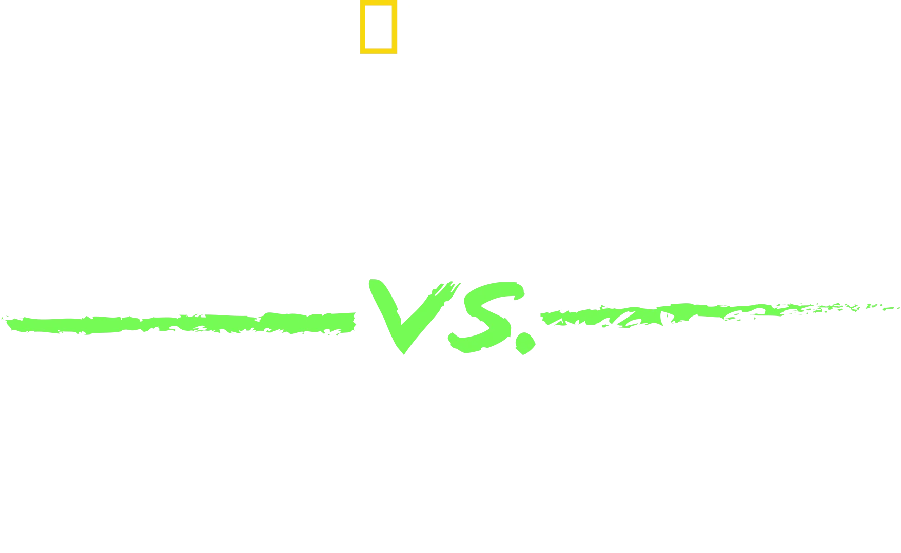Shark vs. Giant Croc