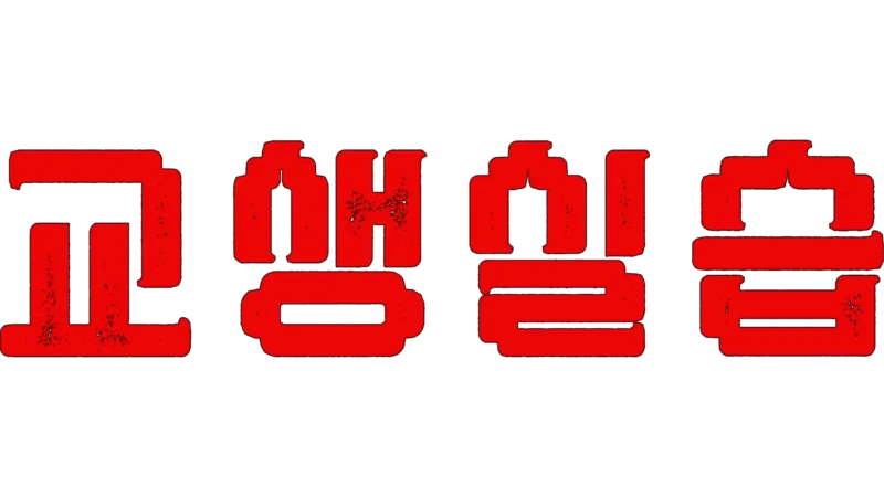교생실습