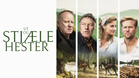 thumbnail - Ut og stjæle hester