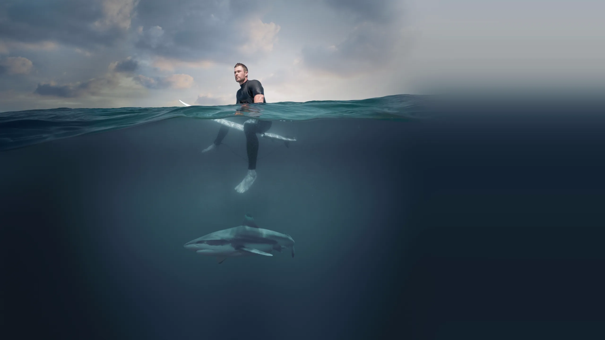 Shark Beach with Chris Hemsworth