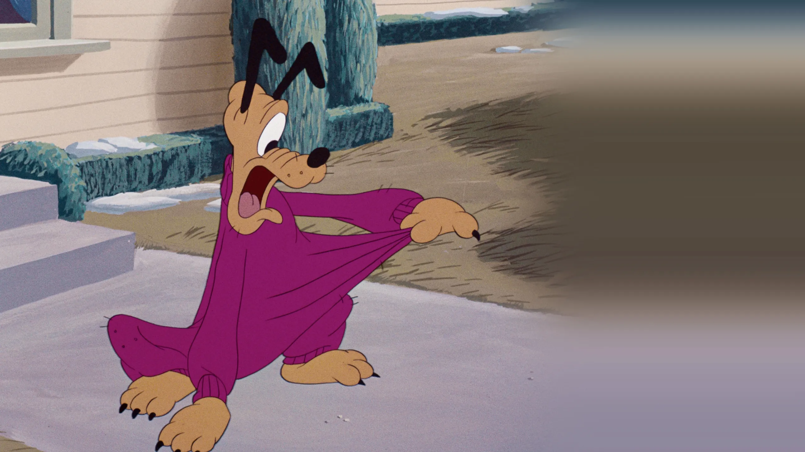 Pluto's Sweater