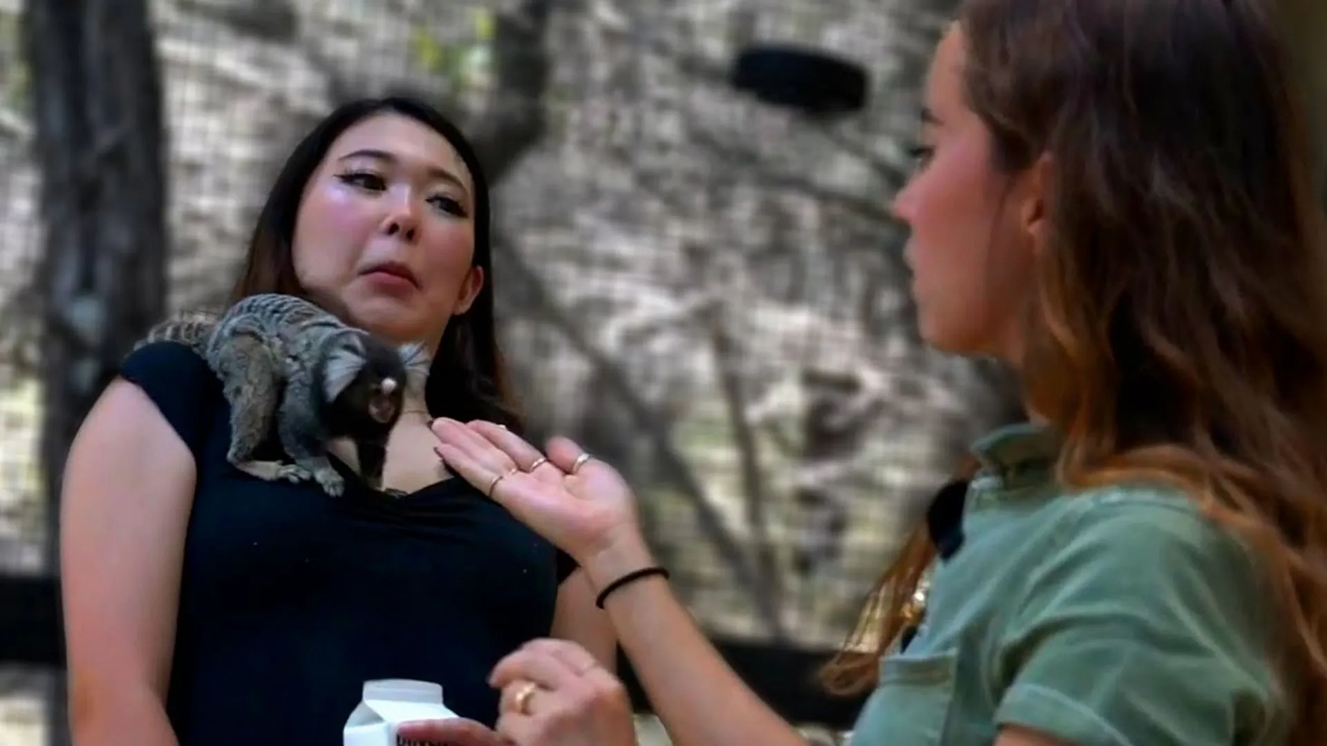 thumbnail - S1:E5 Getting Attacked by Maya Higa's Animals!