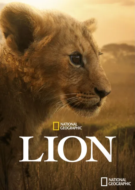 thumbnail - Lion