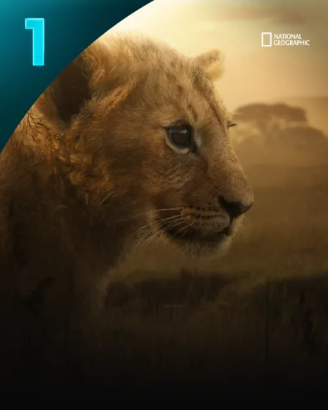 Lion