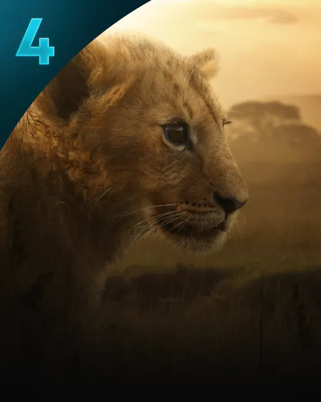 Lion