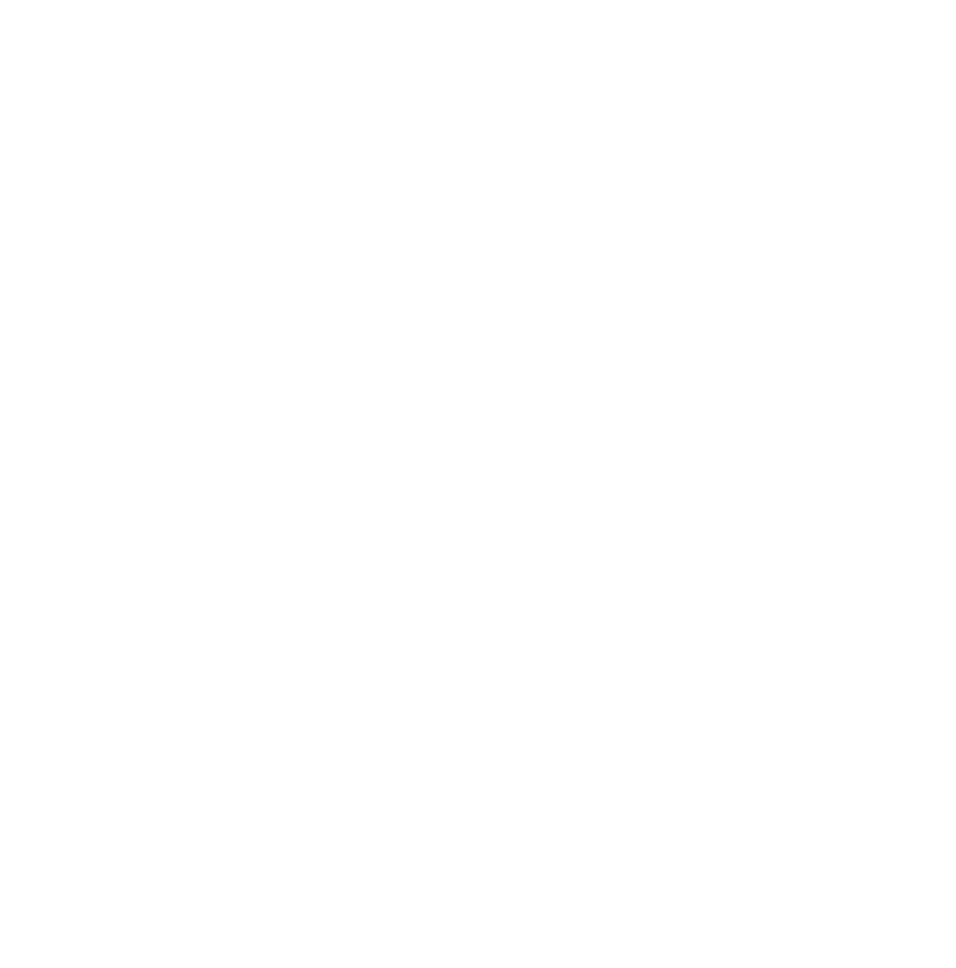 Pun pogodak