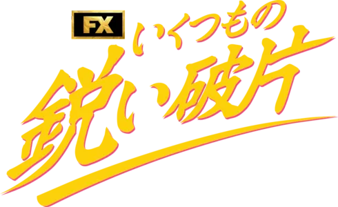 いくつもの鋭い破片