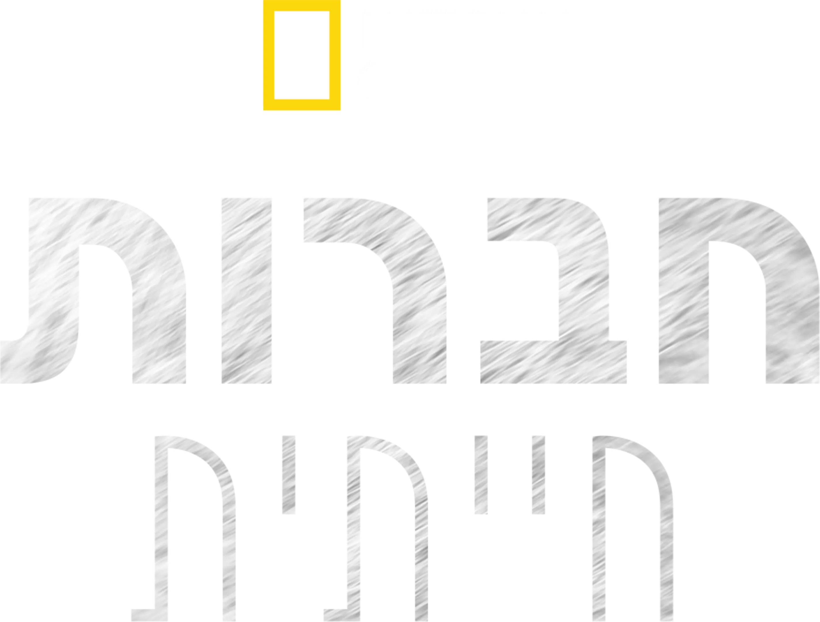 חברות חייתית