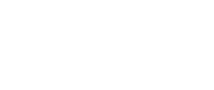 THE ONE SHOT