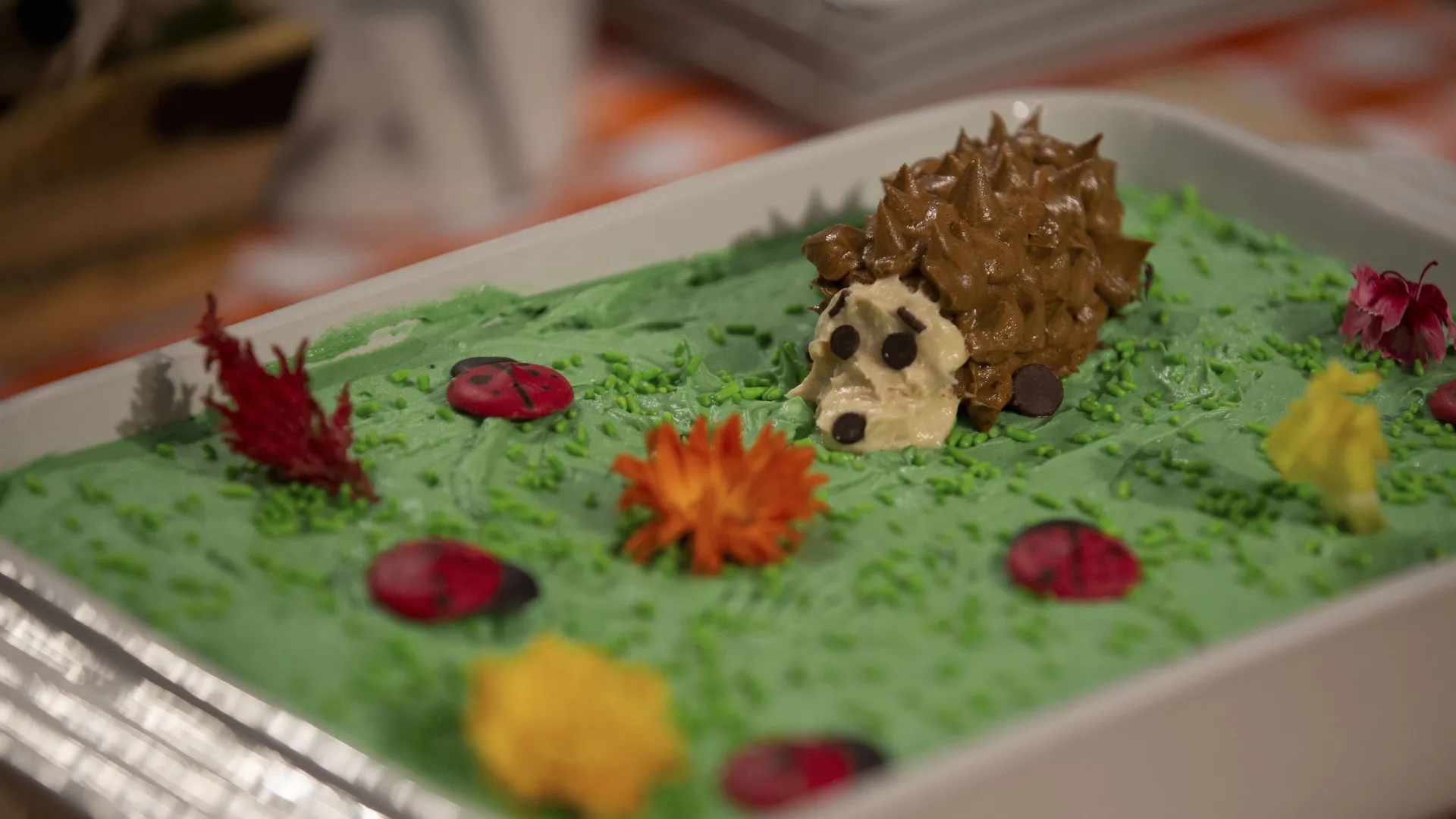 thumbnail - S7:E5 Hole-y Hedgehogs