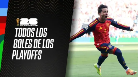 thumbnail - Todos los goles de los playoffs