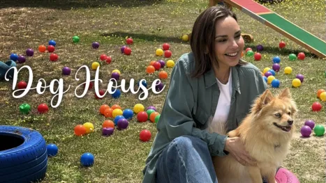 thumbnail - Dog House