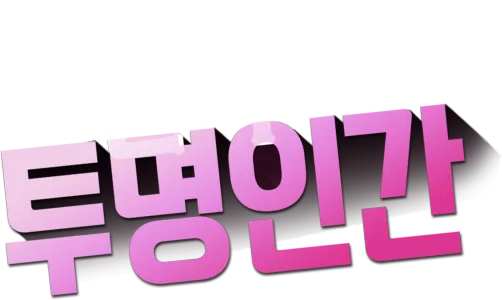 언니는 투명인간