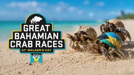thumbnail - Great Bahamian Crab Races