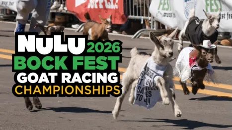 thumbnail - NuLu Bock Fest Goat Racing Championships