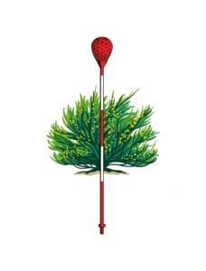2026 U.S. Amateur Golf Championship (Round of 64)