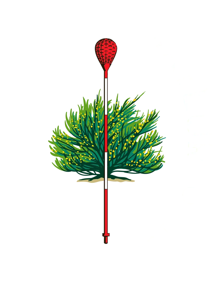 2026 U.S. Amateur Golf Championship (Final)