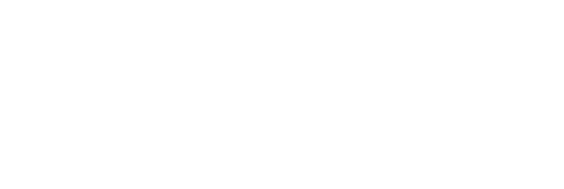 THE ONE SHOT