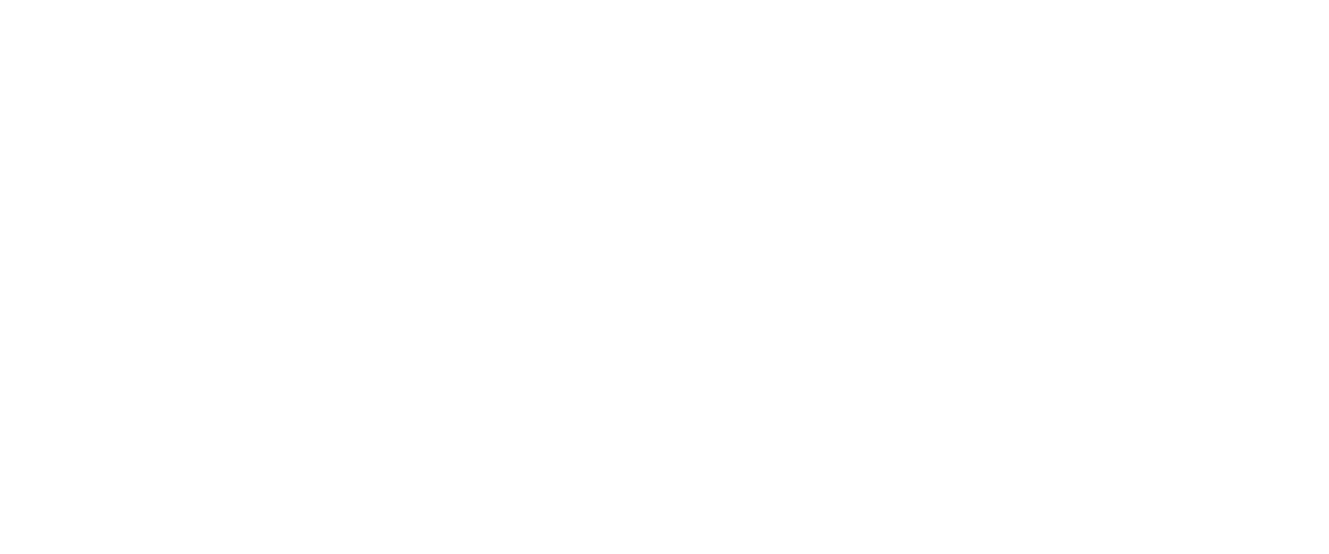 O SINGURĂ ȘANSĂ