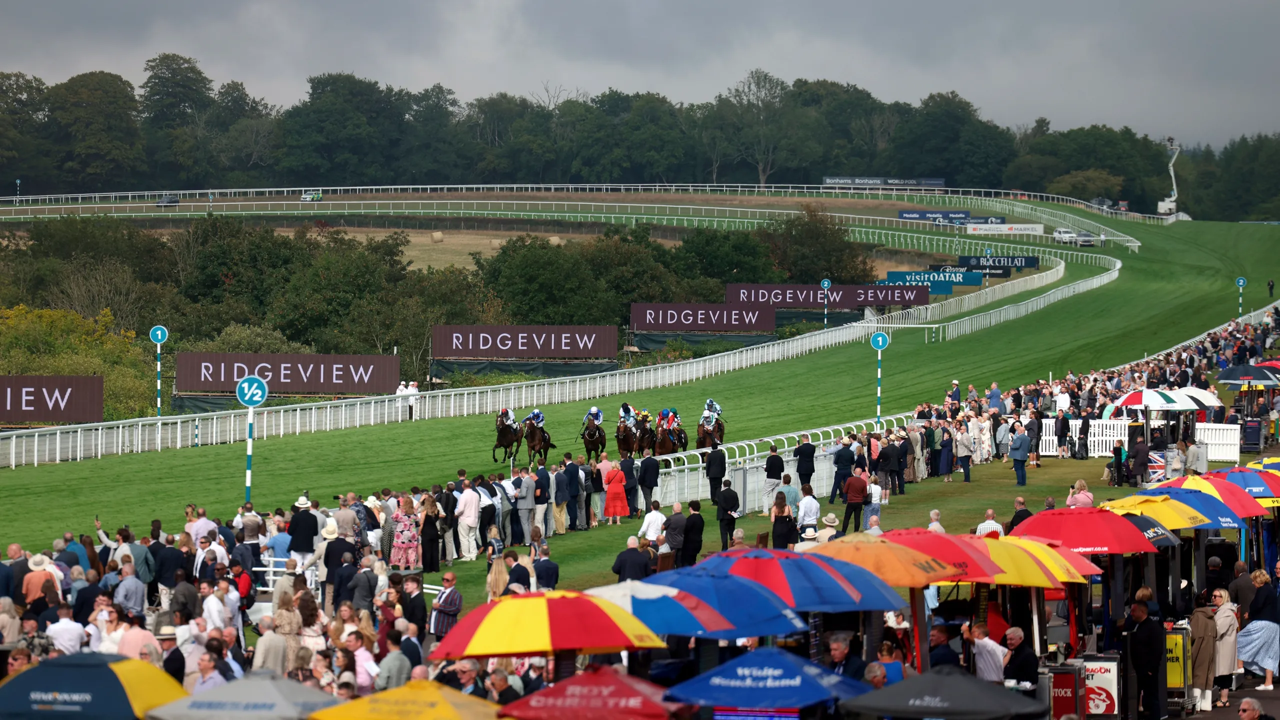 Qatar Goodwood Festival: Goodwood Cup