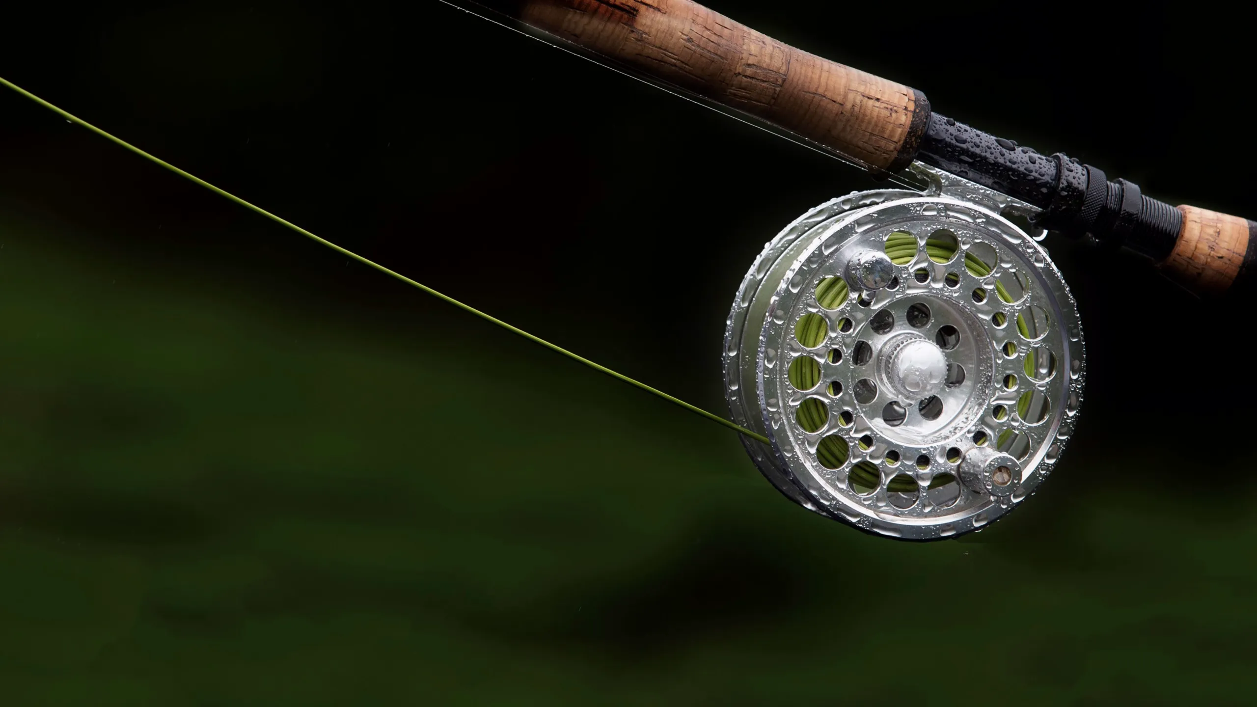 Fly Rod Chronicles