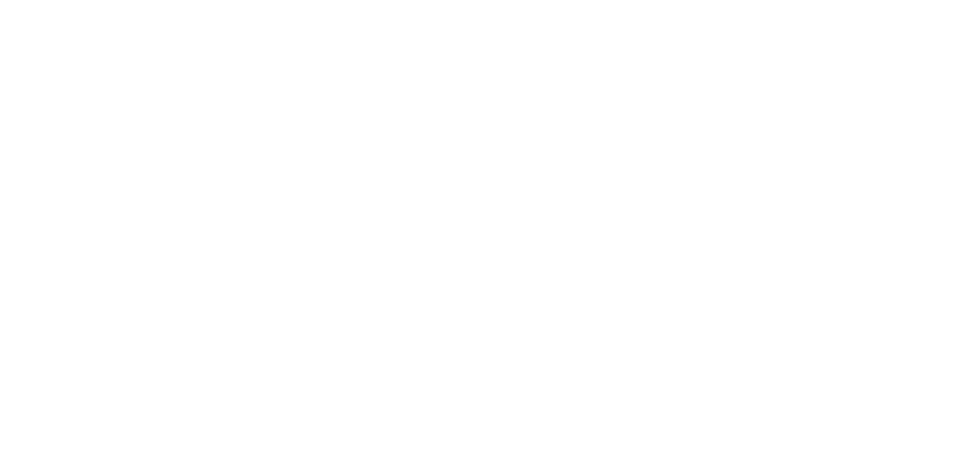 Nirvanna the Band the Show