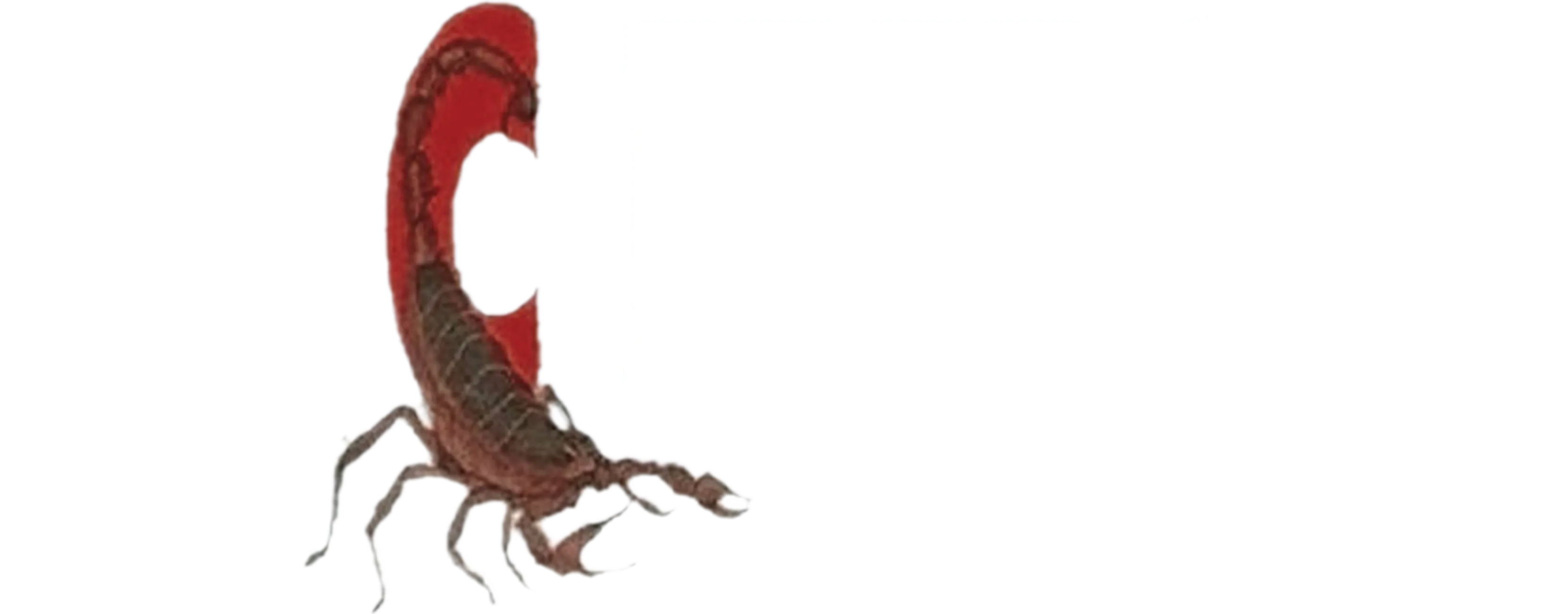 Bichhoo