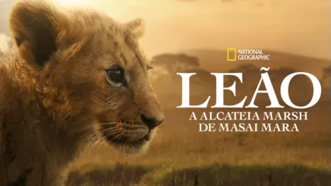 thumbnail - Leão: A Alcateia Marsh de Masai Mara